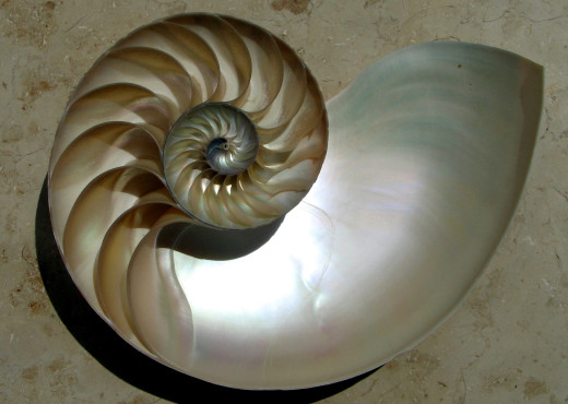 583619 (a): :2240x1590